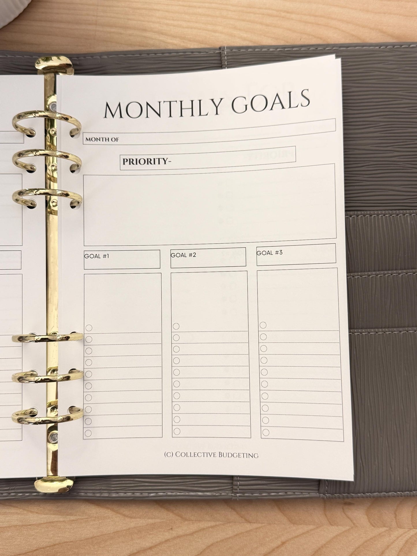 A5 Monthly Planning Insert | Tracker | Cash Stuffing Budget Binder Tool