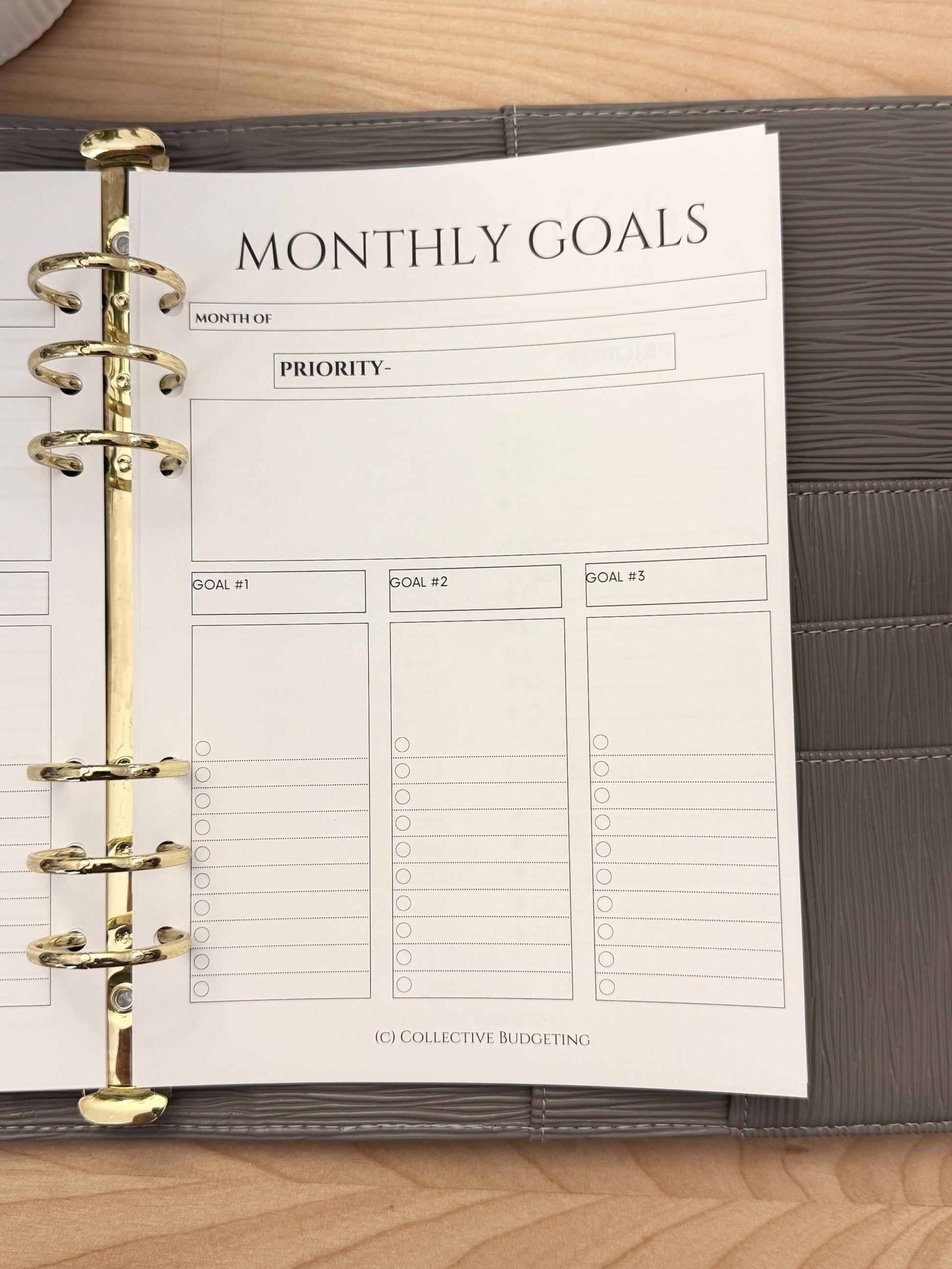 A5 Monthly Planning Insert | Tracker | Cash Stuffing Budget Binder Tool