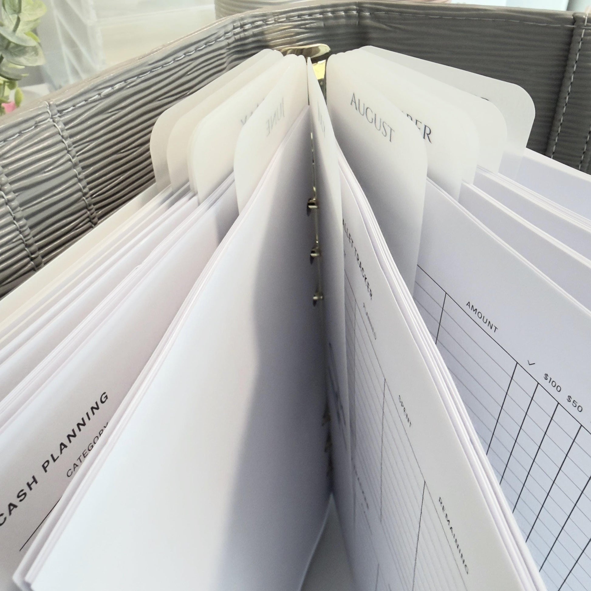 A5 A6 Vellum 12 Month Laminated Binder Peekaboo Bookmark Set