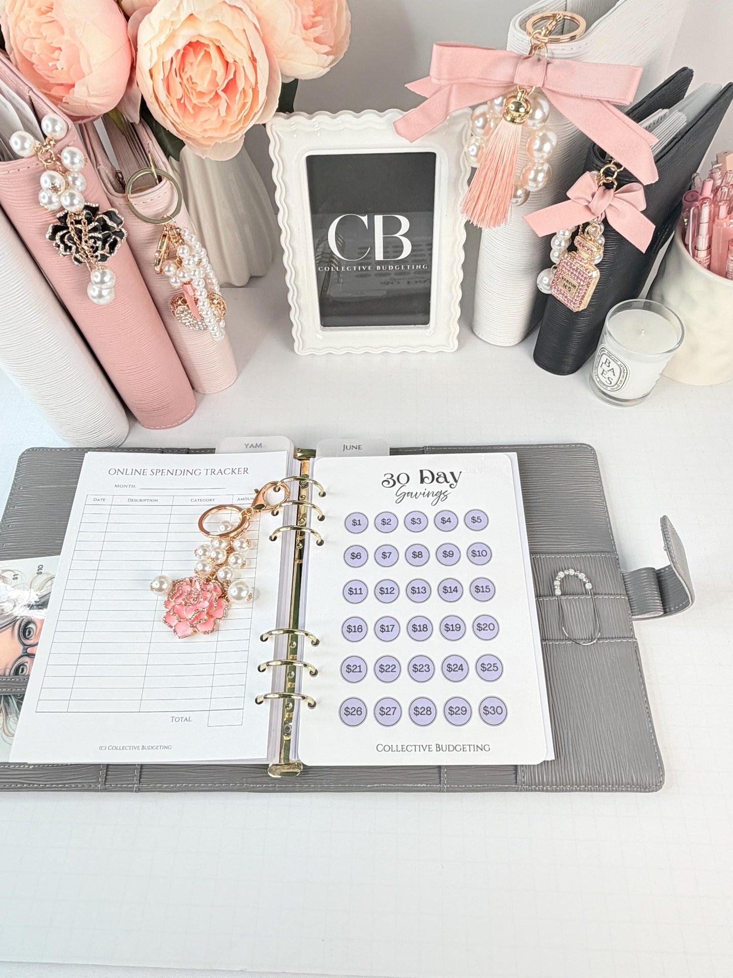 30 Day Savings Challenge | Laminated Cash Stuffing Tracker