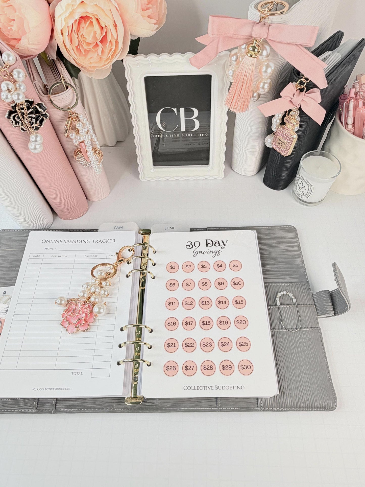 30 Day Savings Challenge | Laminated Cash Stuffing Tracker