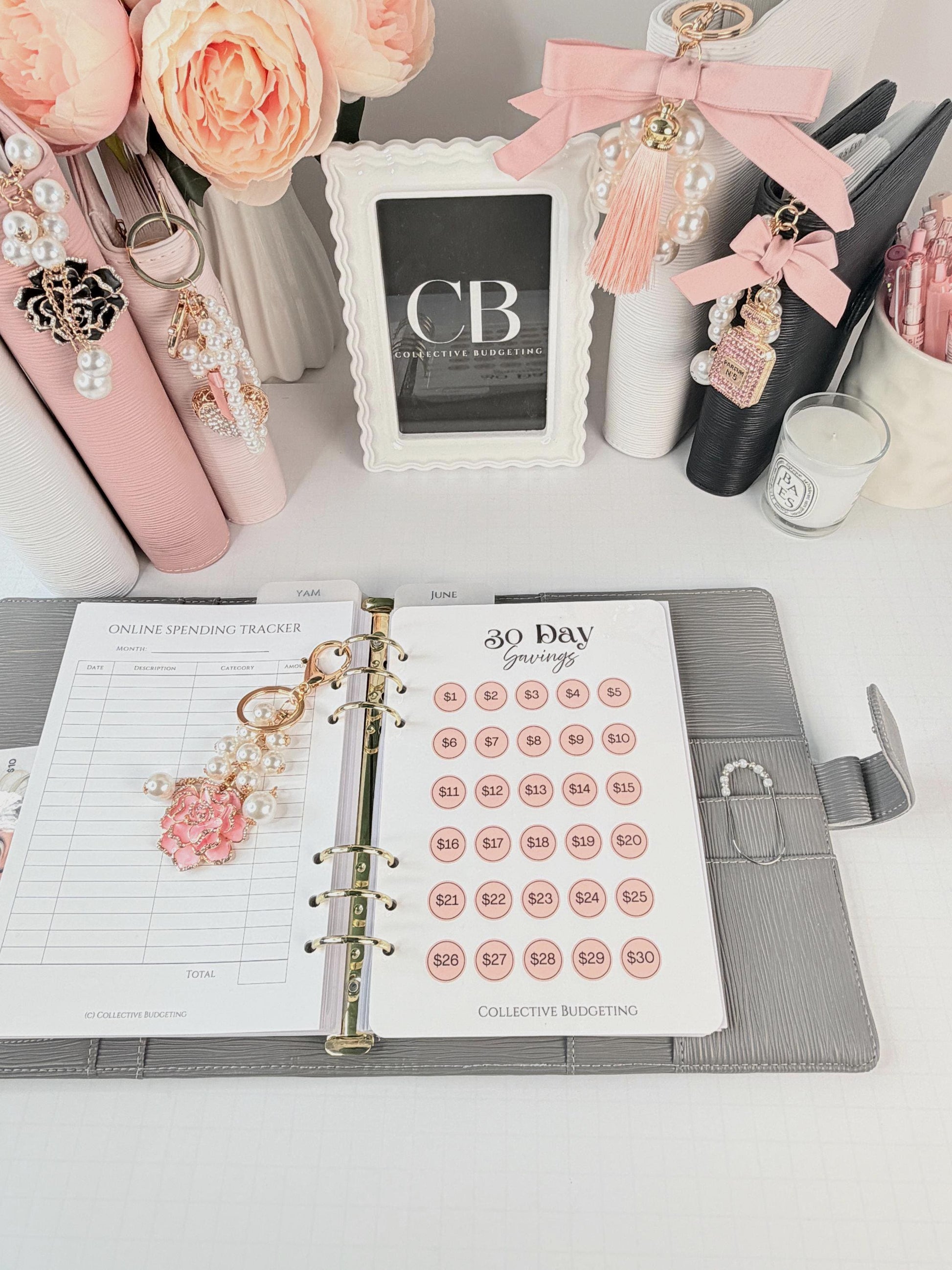 30 Day Savings Challenge | Laminated Cash Stuffing Tracker