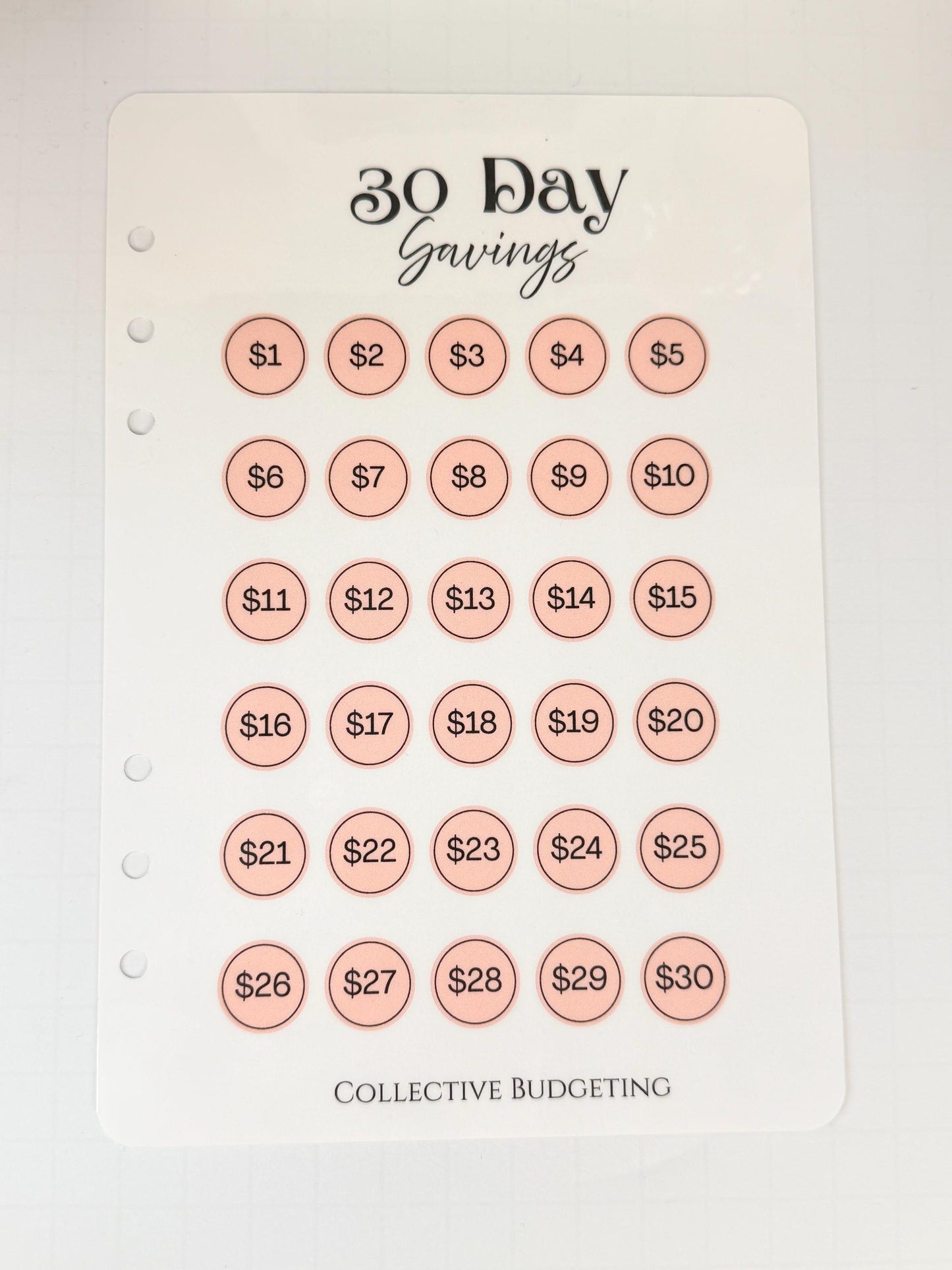 30 Day Savings Challenge | Laminated Cash Stuffing Tracker