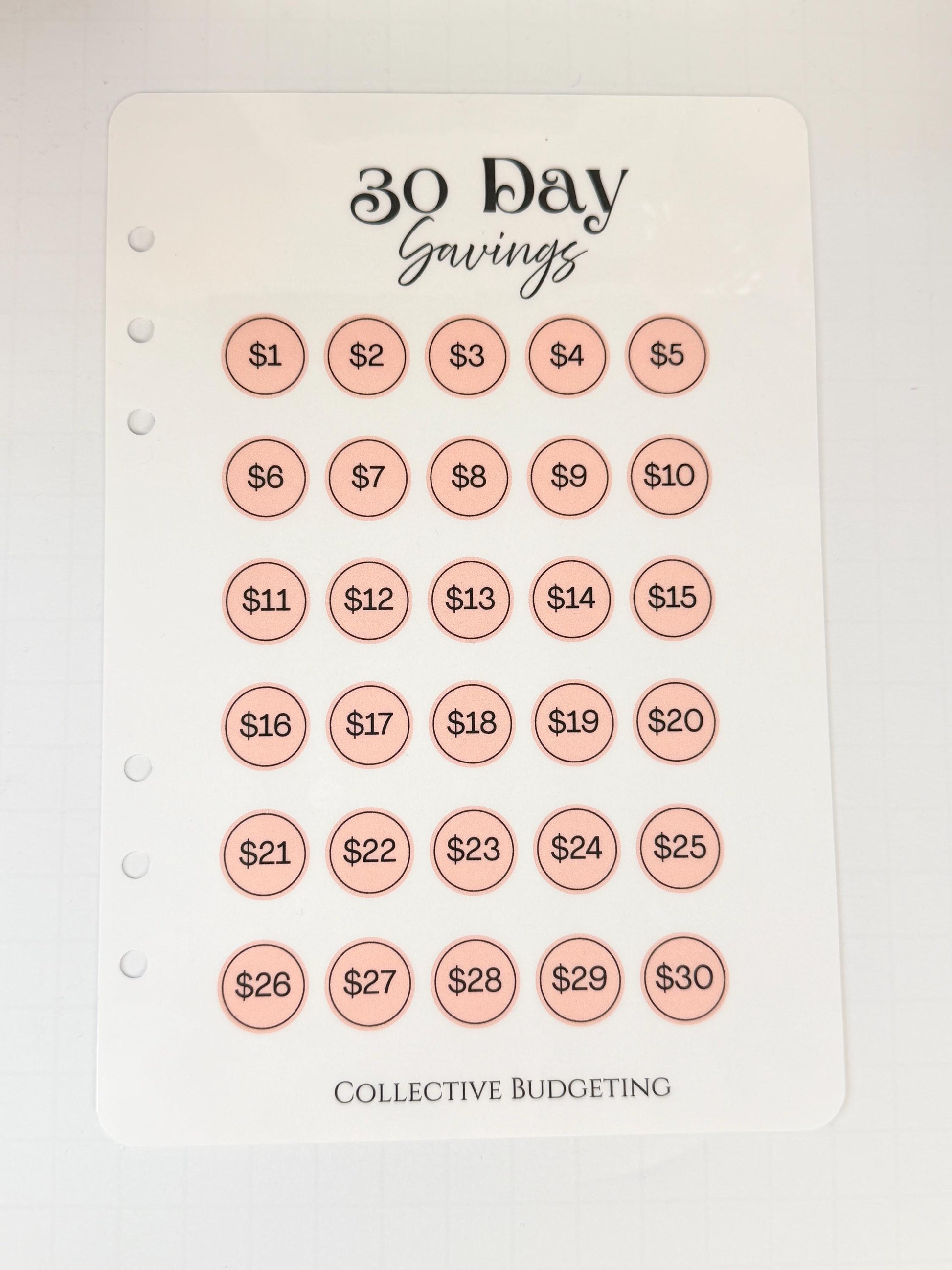 30 Day Savings Challenge | Laminated Cash Stuffing Tracker