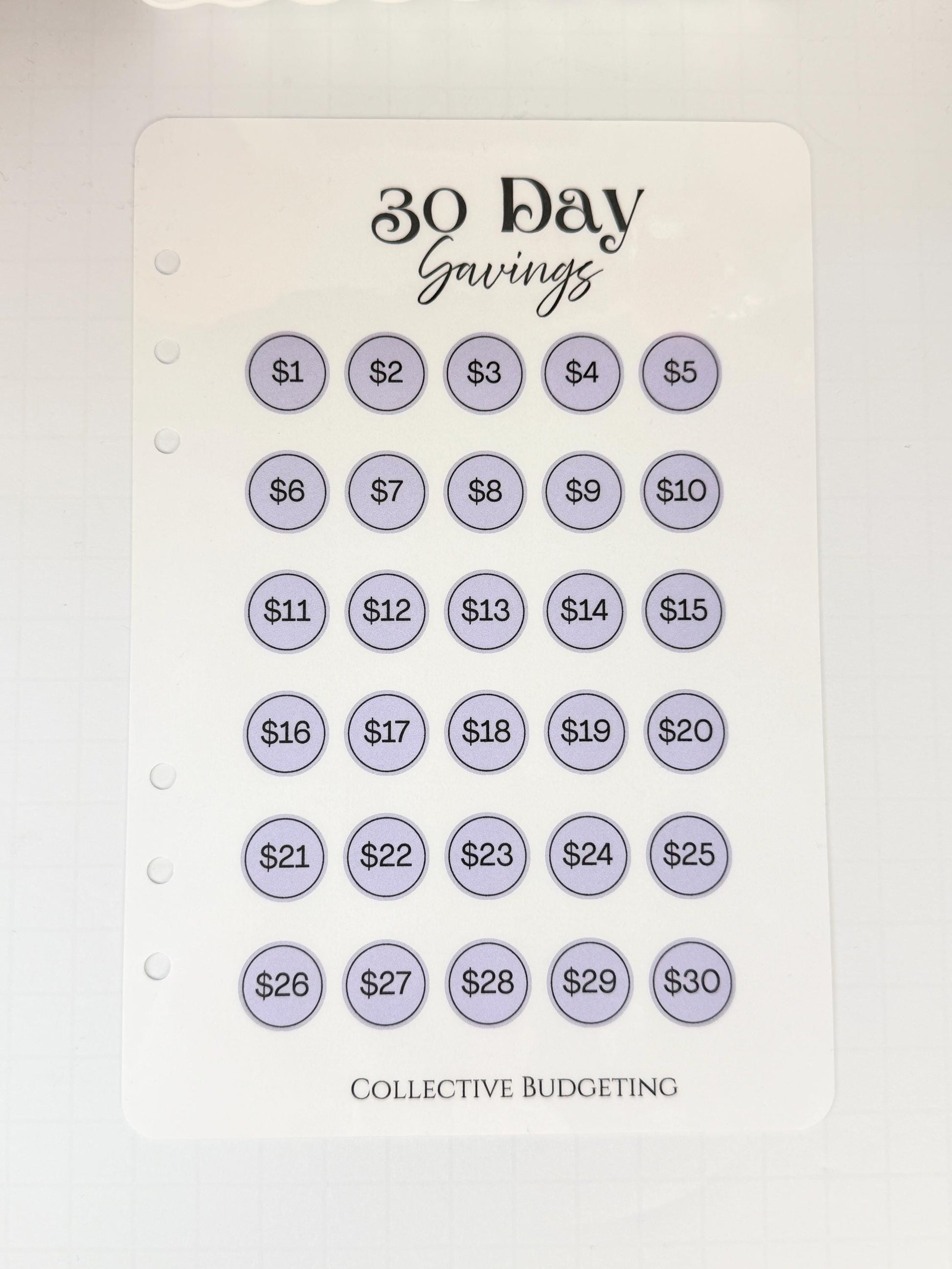 30 Day Savings Challenge | Laminated Cash Stuffing Tracker