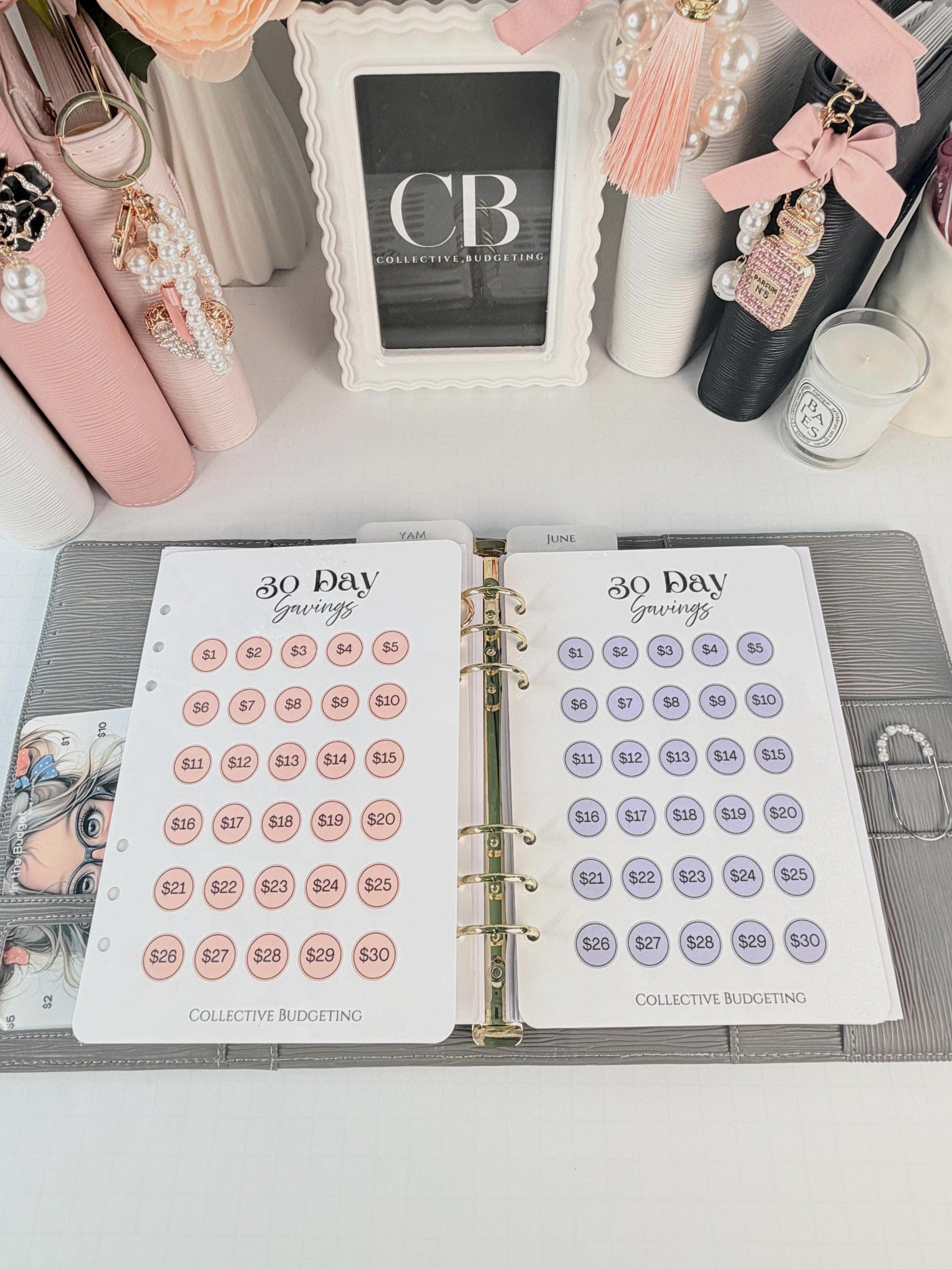 30 Day Savings Challenge | Laminated Cash Stuffing Tracker