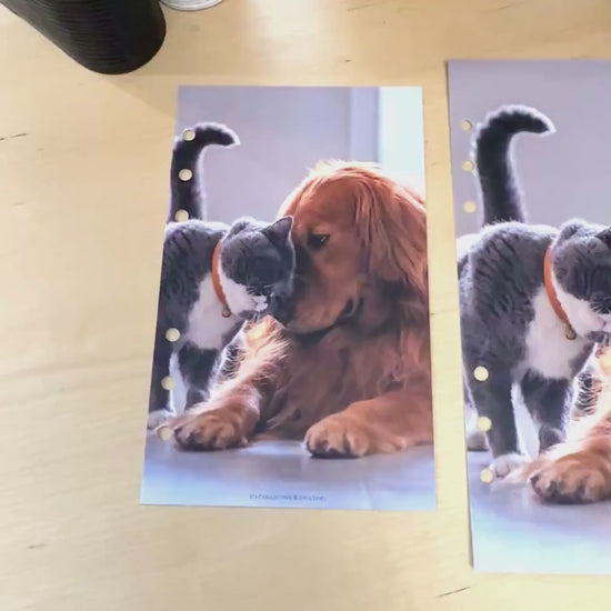 Pets Budget Binder Dashboard: A5/A6 Cash Stuffing Insert