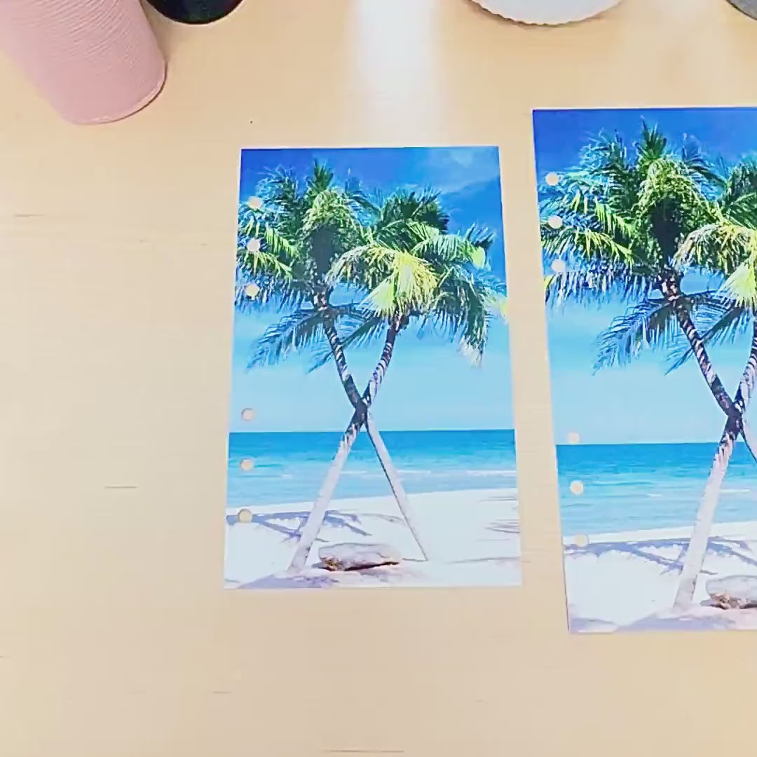 Oasis Palms Budget Binder Dashboard: A5/A6 Cash Stuffing Insert