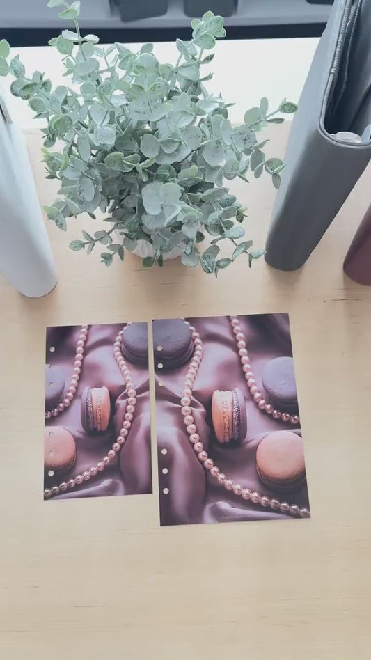 Macaroon Budget Binder Dashboard: A5 A6 Cash Stuffing Insert