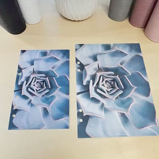 Cactus Flower Budget Binder Dashboard: A5/A6 Cash Stuffing Insert