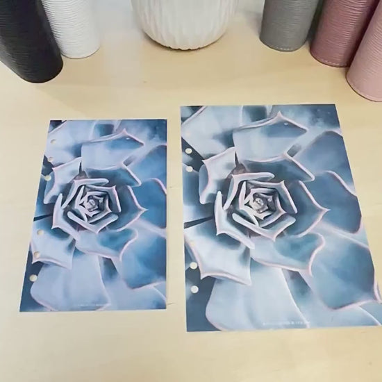 Cactus Flower Budget Binder Dashboard: A5/A6 Cash Stuffing Insert