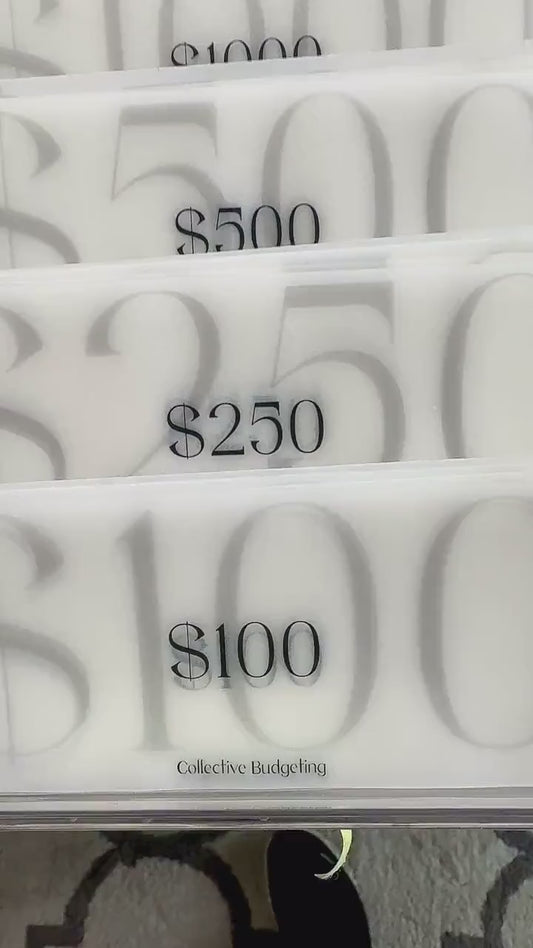 Cash Envelope Placeholders: Laminated Vellum Budget Organizer Inserts