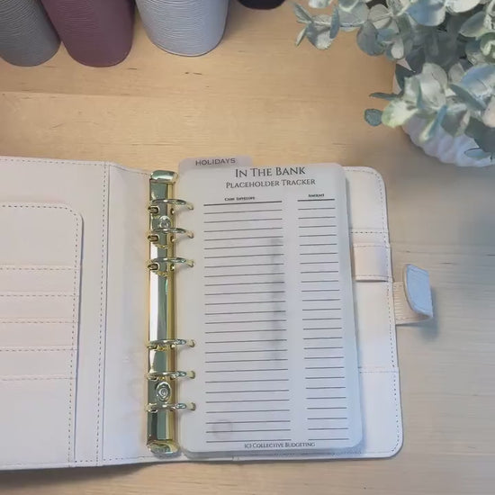 Vellum Cash Envelope Placeholder Trackers: A6 A5 Budget Binder Inserts