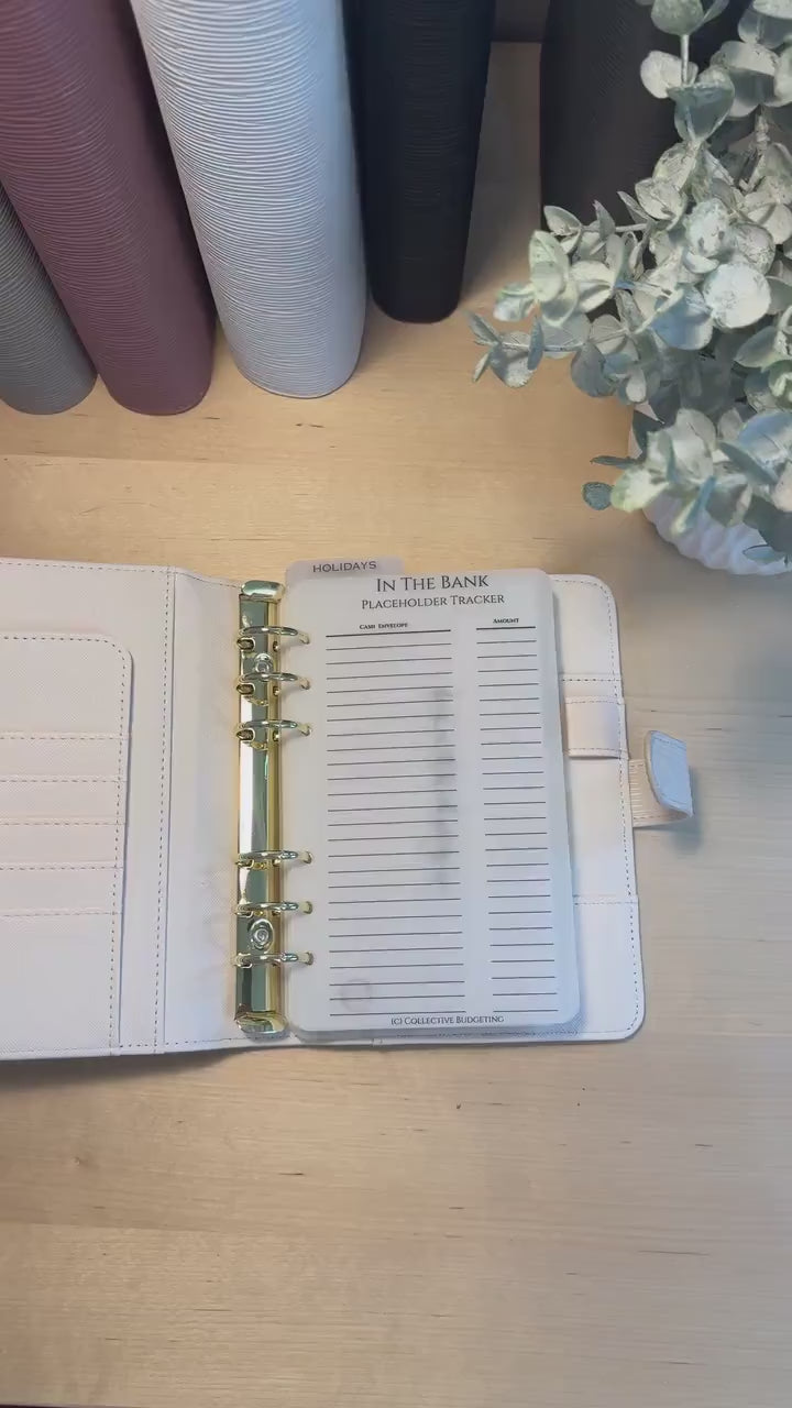 Vellum Cash Envelope Placeholder Trackers: A6 A5 Budget Binder Inserts