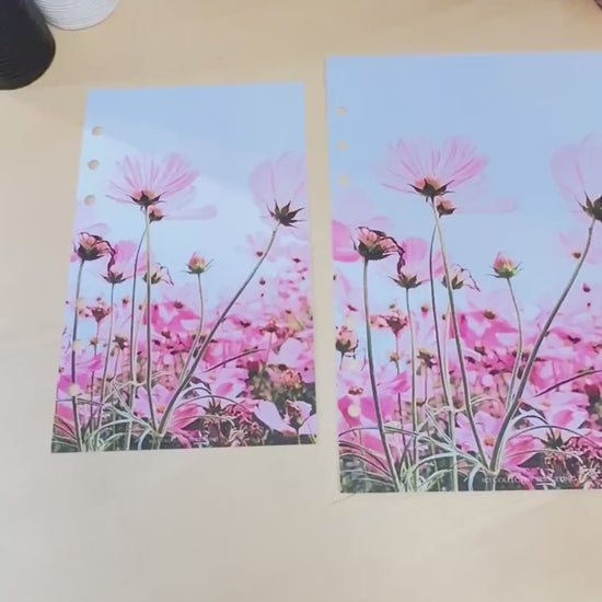 Pink Daisies Budget Binder Dashboard: A5 A6 Cash Stuffing Insert