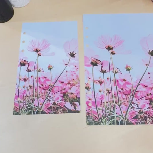 Pink Daisies Budget Binder Dashboard: A5 A6 Cash Stuffing Insert