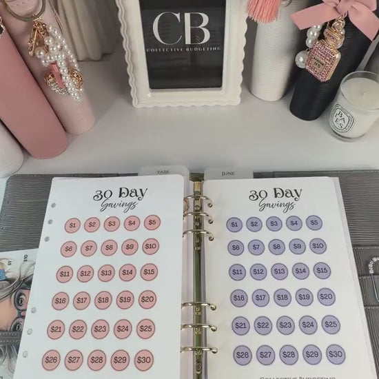 30 Day Savings Challenge | Laminated Cash Stuffing Tracker