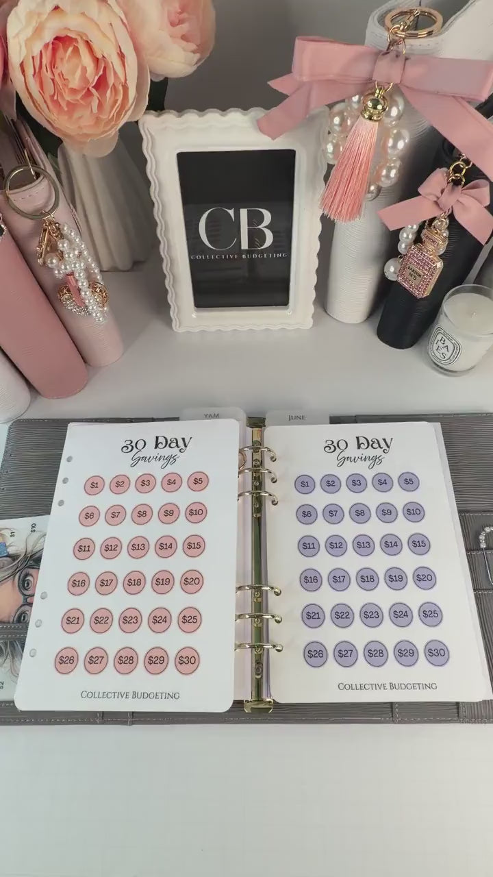 30 Day Savings Challenge | Laminated Cash Stuffing Tracker