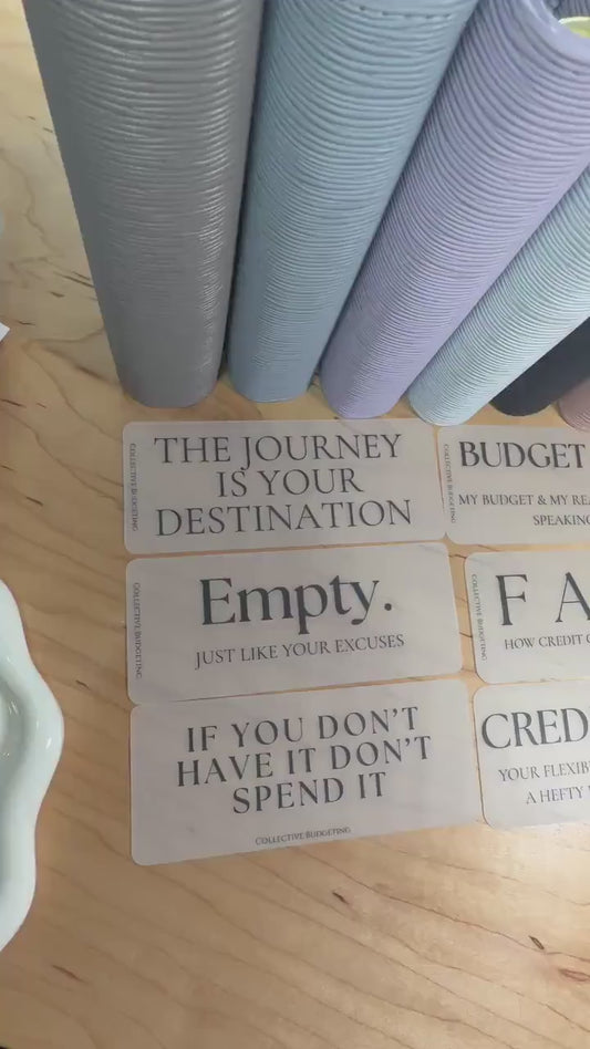 A5 A6 Sarcastic Budget Placeholders – Matte Vellum Cash Stuffing Motivational Binder Inserts